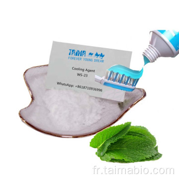 Agent de refroidissement de menthe WS-23 Powder WS23 pour le dentifrice